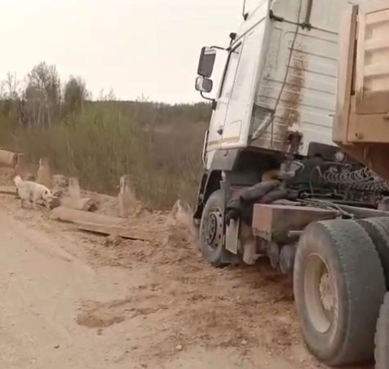 В Приамурье неизвестный водитель испортил госимущество и скрылся