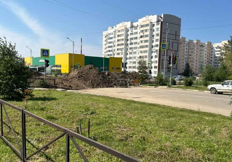 Фото: Амур.инфо (август 2024 года)