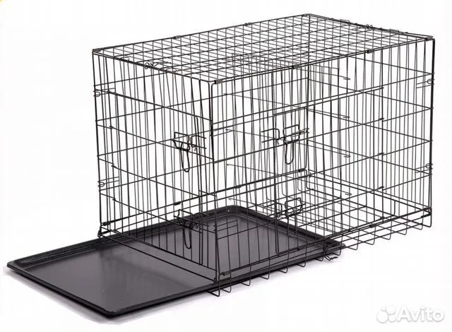 В дорогу с питомцем: самые важный советы для вашего спокойствия