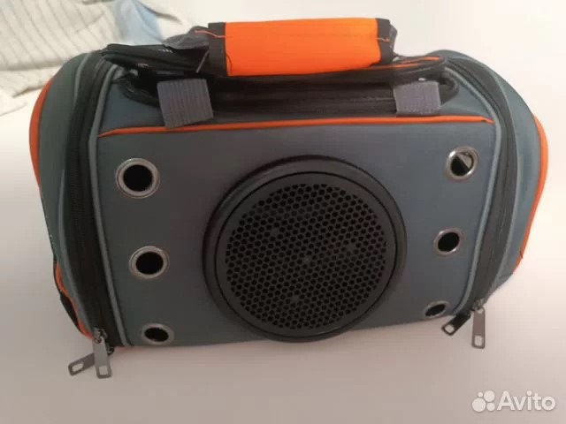 В дорогу с питомцем: самые важный советы для вашего спокойствия