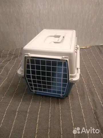 В дорогу с питомцем: самые важный советы для вашего спокойствия