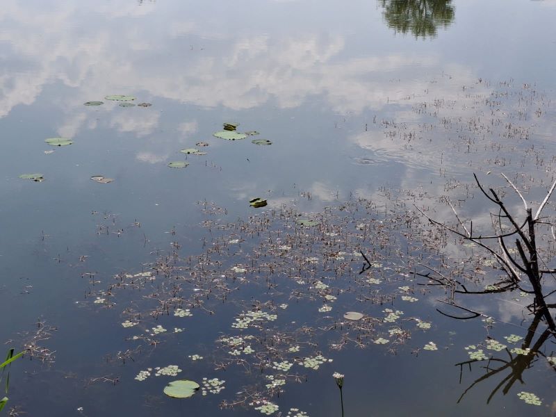 Фото: Павел Жирнов