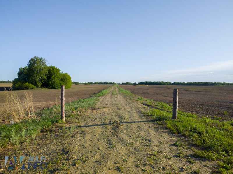 Илону Маску предложили дать дальневосточный гектар