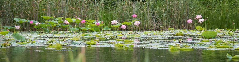Фото: Амур.инфо
