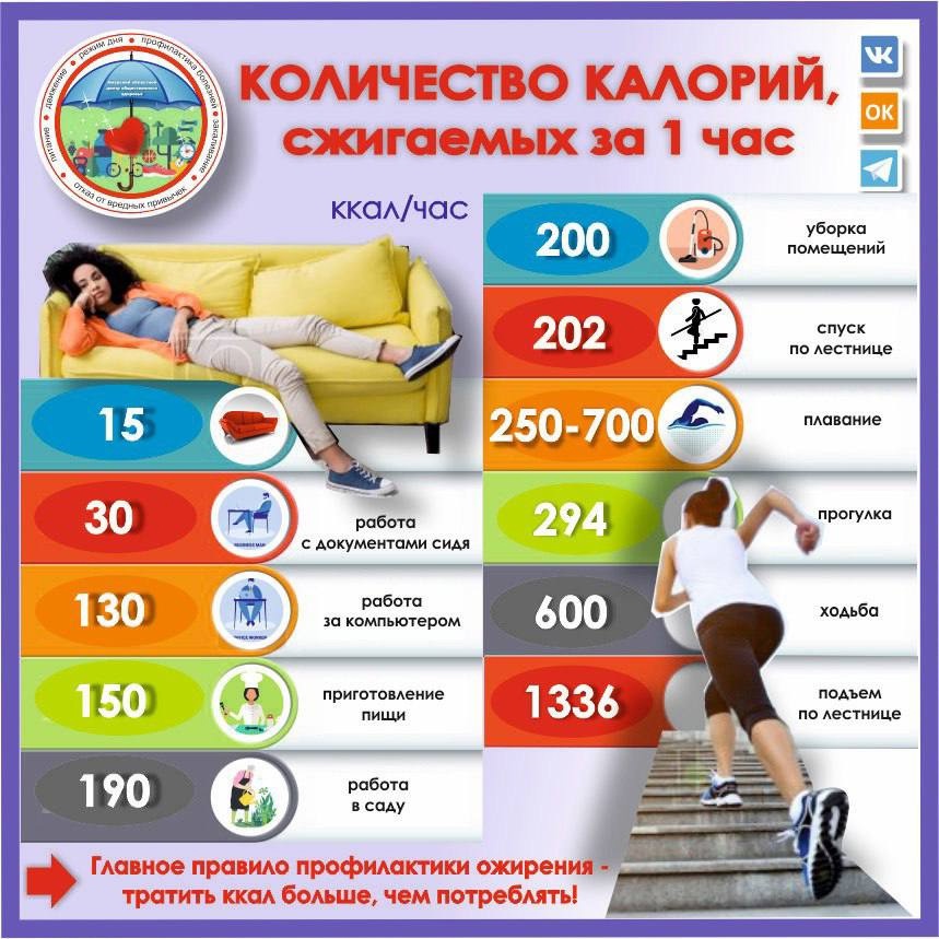 инфографика