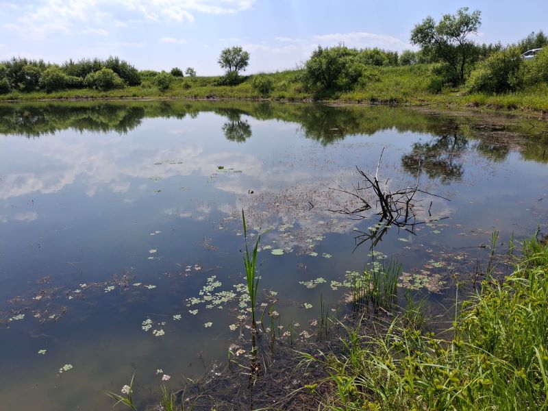 Фото: Павел Жирнов