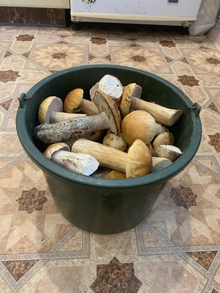 В Приамурье зафиксировали вкусную аномалию