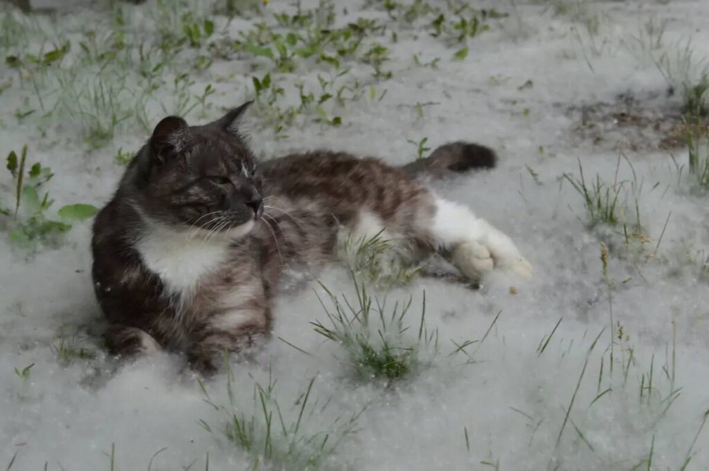 пятница 13-е, мистические истории, истории про пятницу 13-е, страшные истории, реальные истории