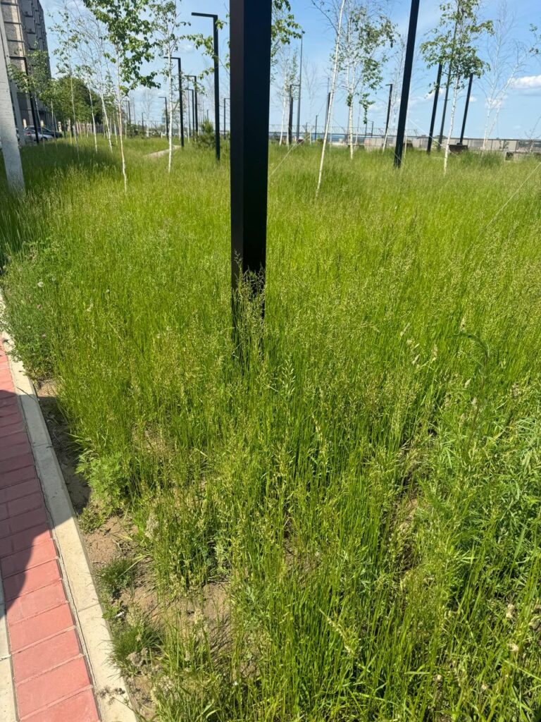 Фото: Амур.инфо