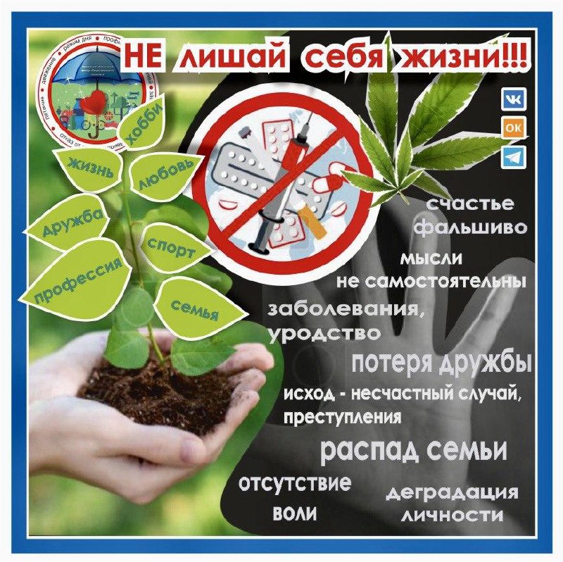 инфографика