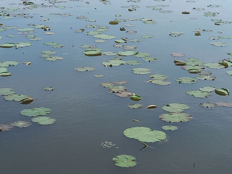 Фото: Павел Жирнов