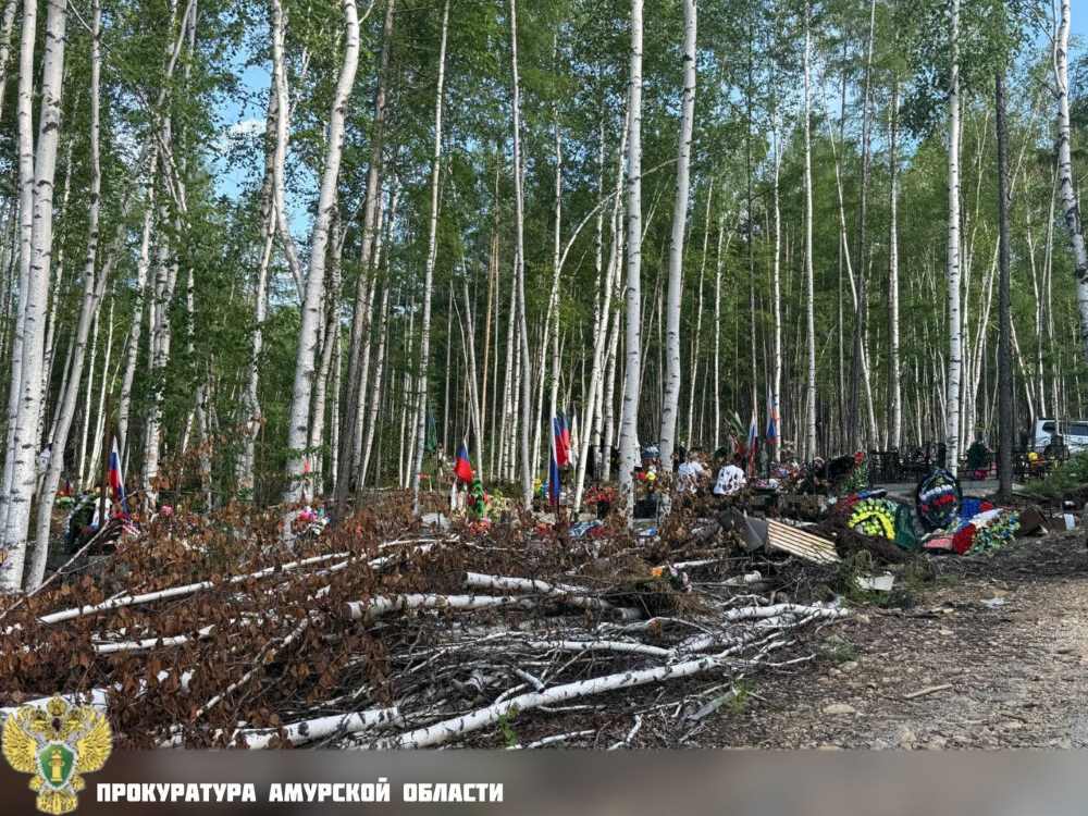 В амурском городе начали чистить кладбище после визита прокуратуры