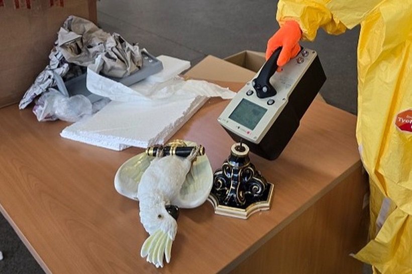 Жительнице Москвы прислали радиоактивного попугая из Германии