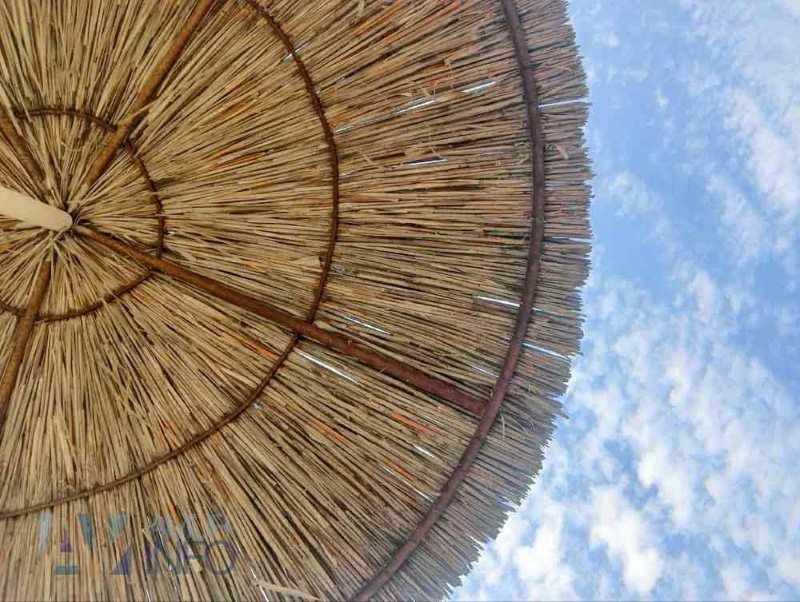 Необходимость, а не привилегия: как в отпуске не думать о работе