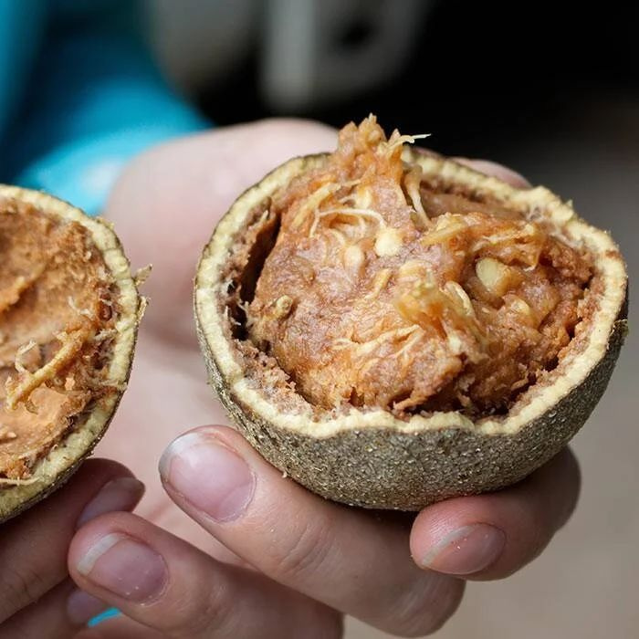 экзотические фрукты, необычные фрукты. фрукты, странные фрукты, вкусные фрукты