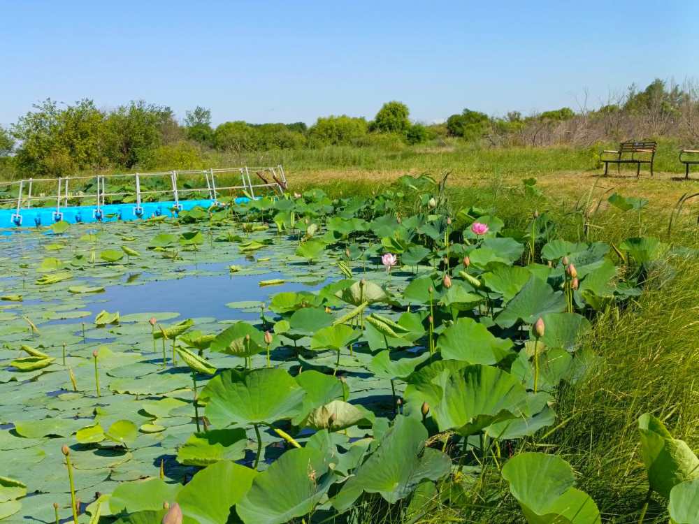 Фото: администрация Тамбовского округа