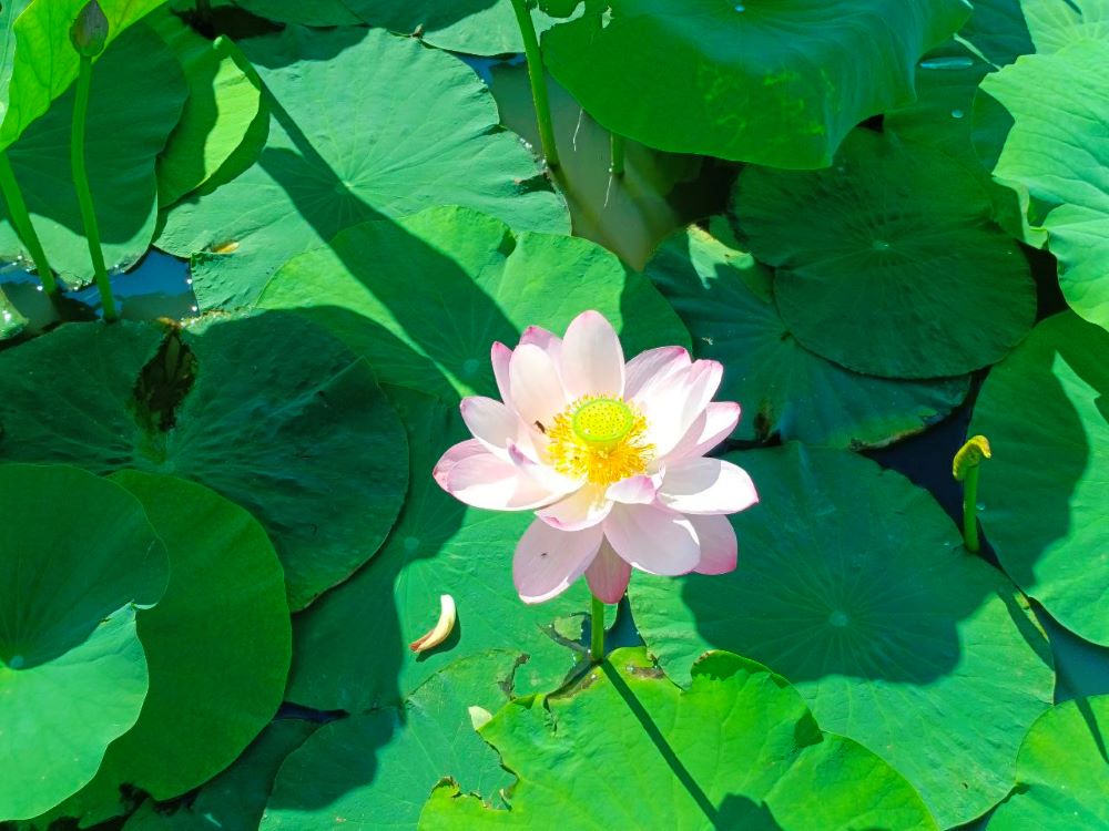 Фото: администрация Тамбовского округа