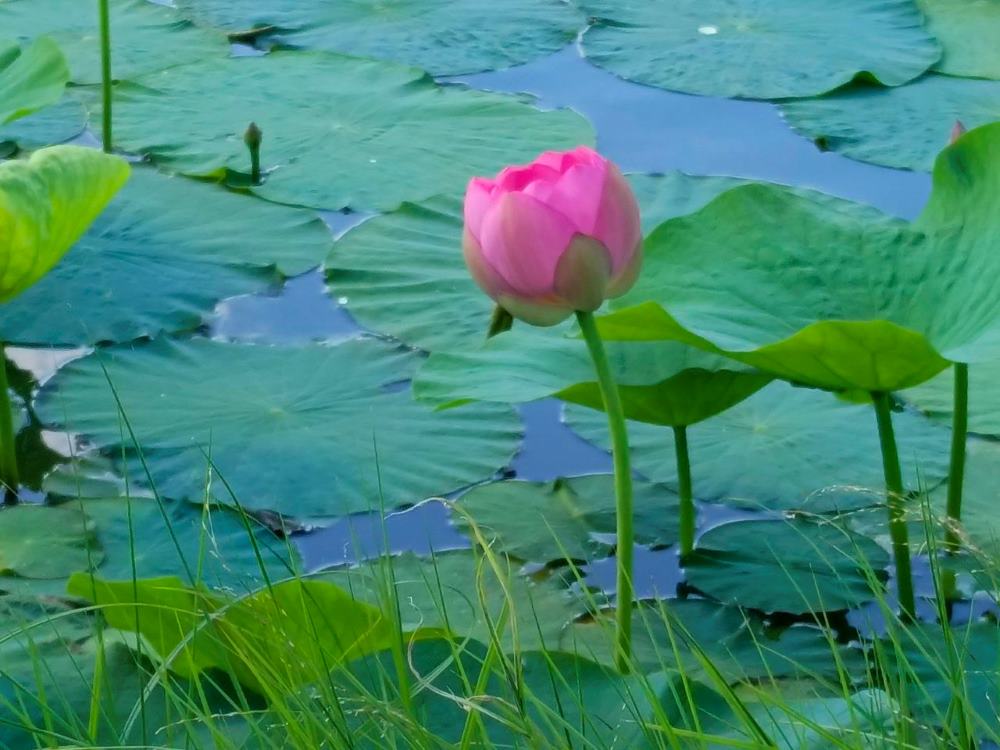 Фото: администрация Тамбовского округа