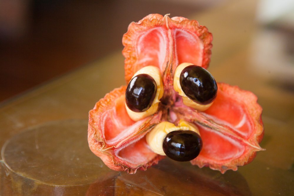 экзотические фрукты, необычные фрукты. фрукты, странные фрукты, вкусные фрукты