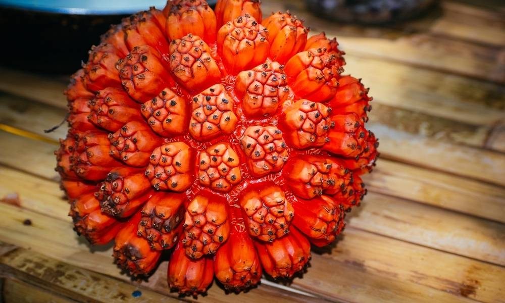 экзотические фрукты, необычные фрукты. фрукты, странные фрукты, вкусные фрукты