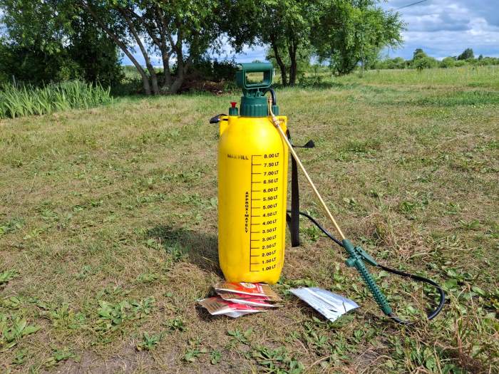 Фото: Павел Жирнов