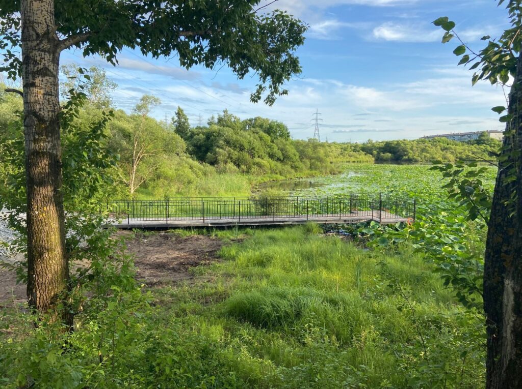 Фото: администрация Прогресса