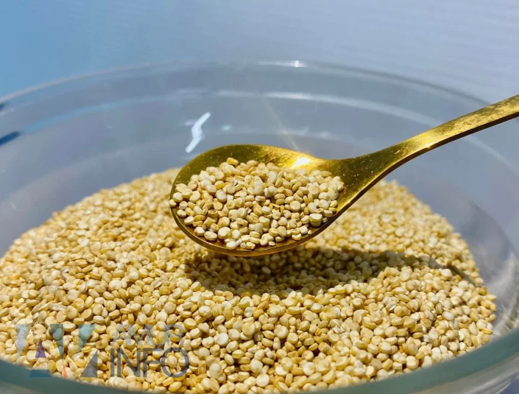 Фото: Амур.инфо