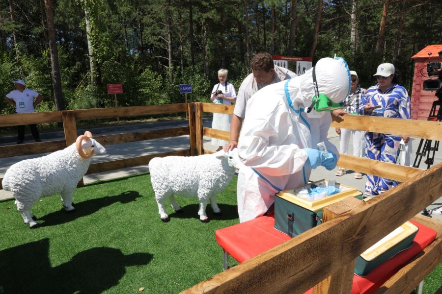 Фото: правительство Амурской области