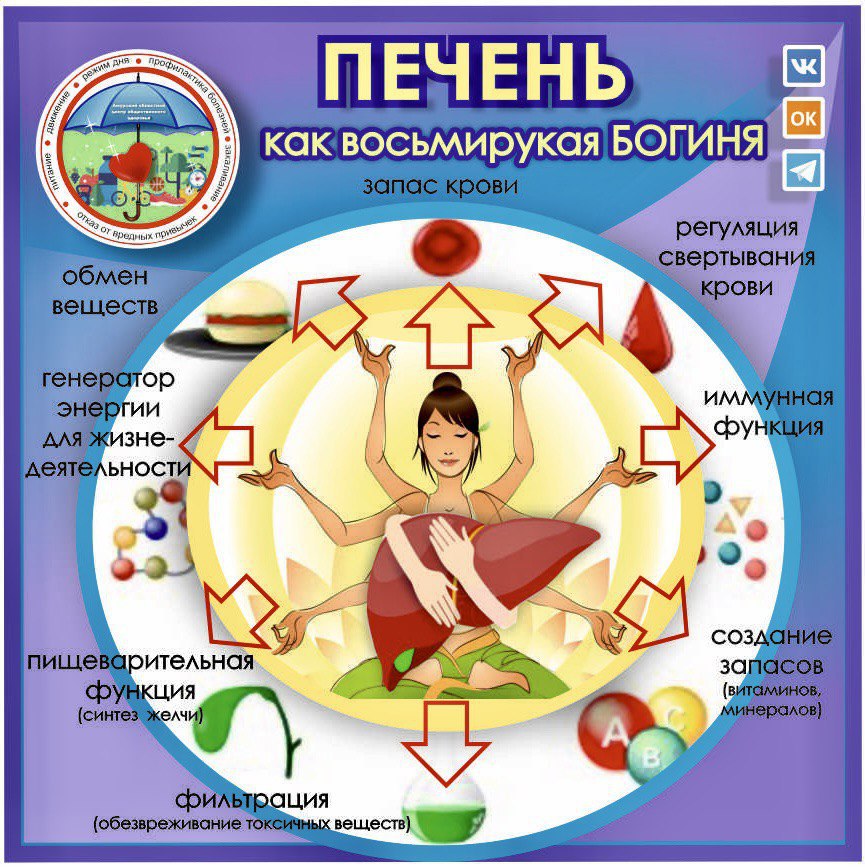 инфографика