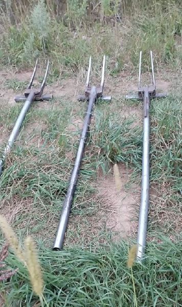 В Приамурье «черные копатели» собрали 350 килограммов редкого растения