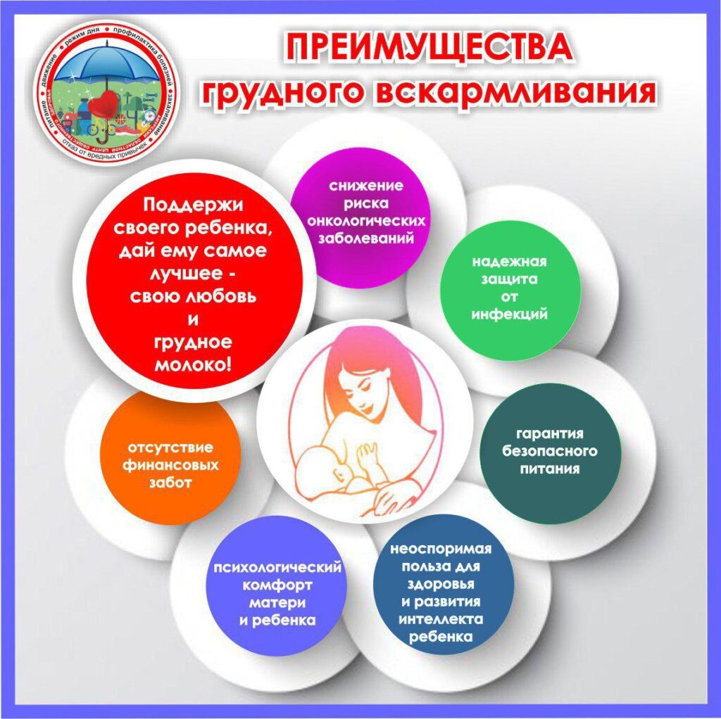 инфографика