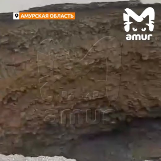 Фото: скриншоты видео телеграм-канала «Amur Mash»