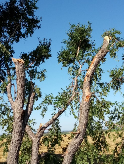 Фото: Амур.инфо