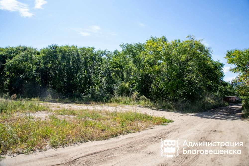 Власти Благовещенска рассказали, когда стартуют работы в Левашовской роще