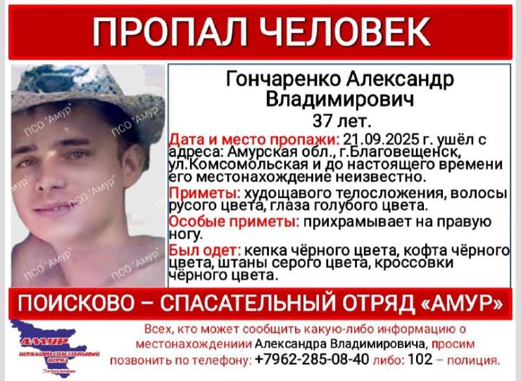 ориентировка
