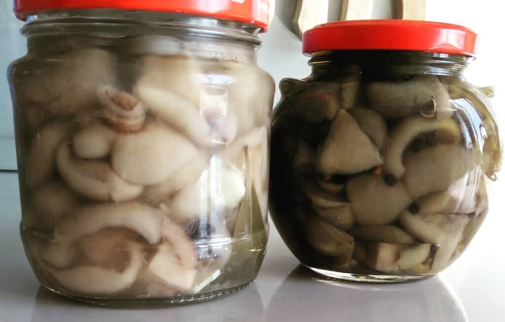 маринованные грибы рецепт, грузди на зиму, грузди соленые, маринованные маслята, маринованные шампиньоны