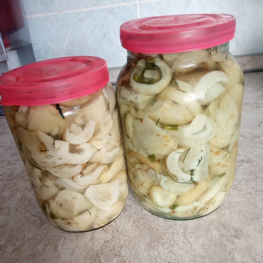 маринованные грибы рецепт, грузди на зиму, грузди соленые, маринованные маслята, маринованные шампиньоны