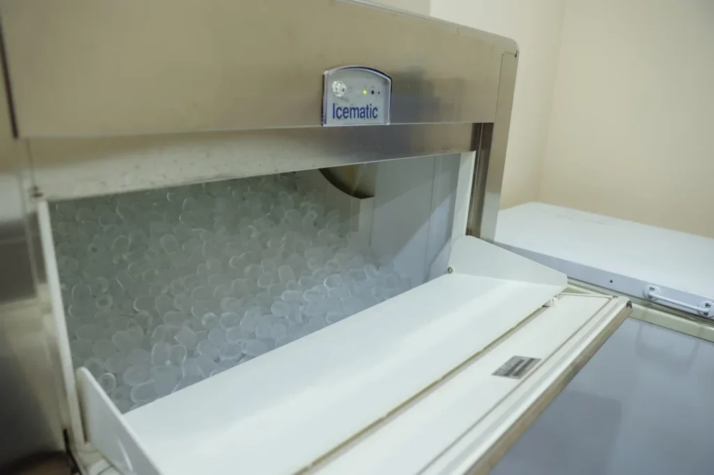 Фото: правительство Амурской области