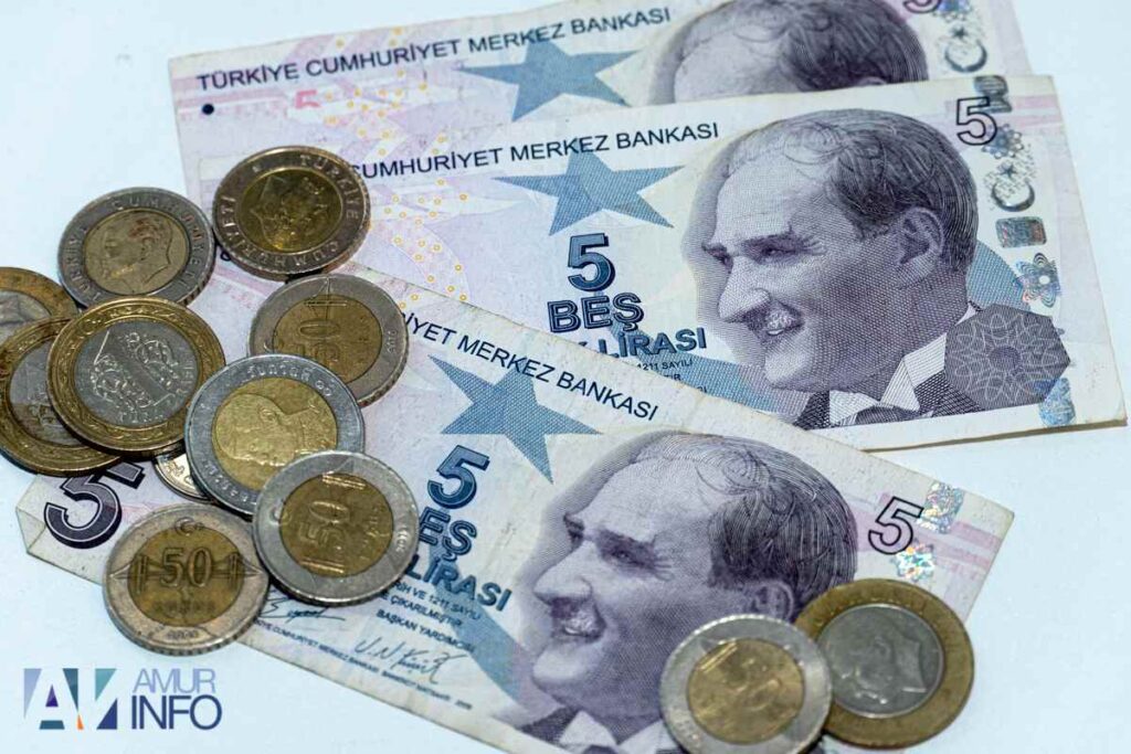 Житель Турции будет 10 лет платить алименты на кошек после развода с женой