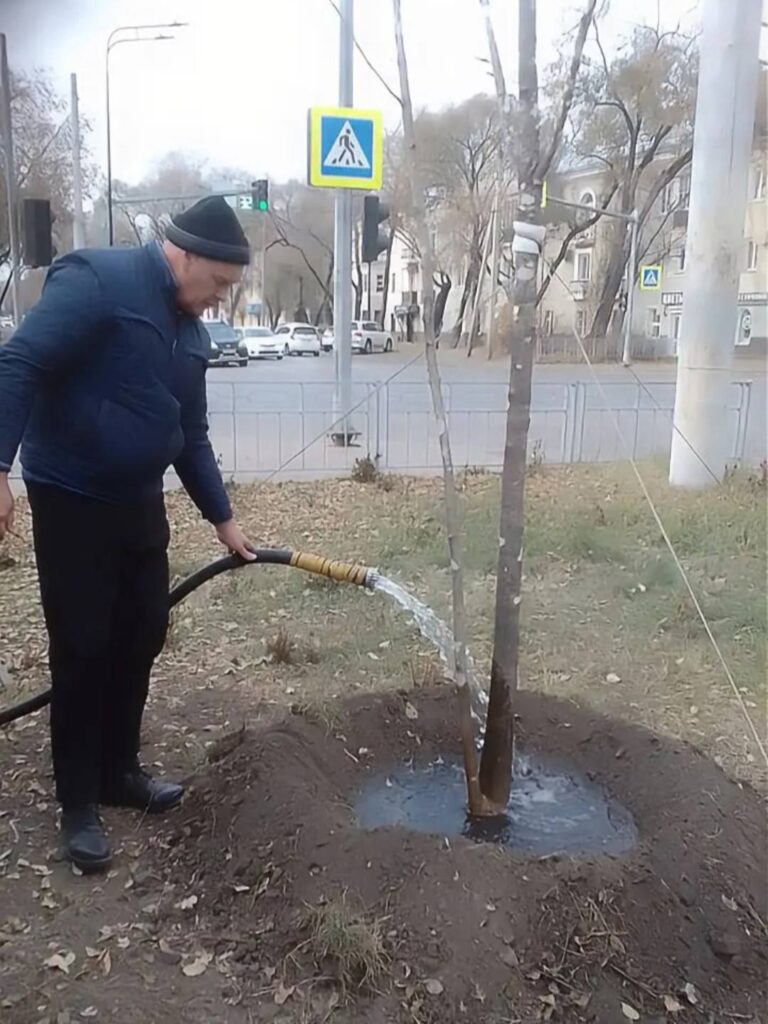 озеленение