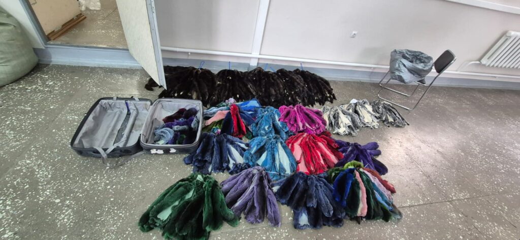 Иностранки пытались вывезти из Благовещенска шкурки соболя на 6 миллионов рублей