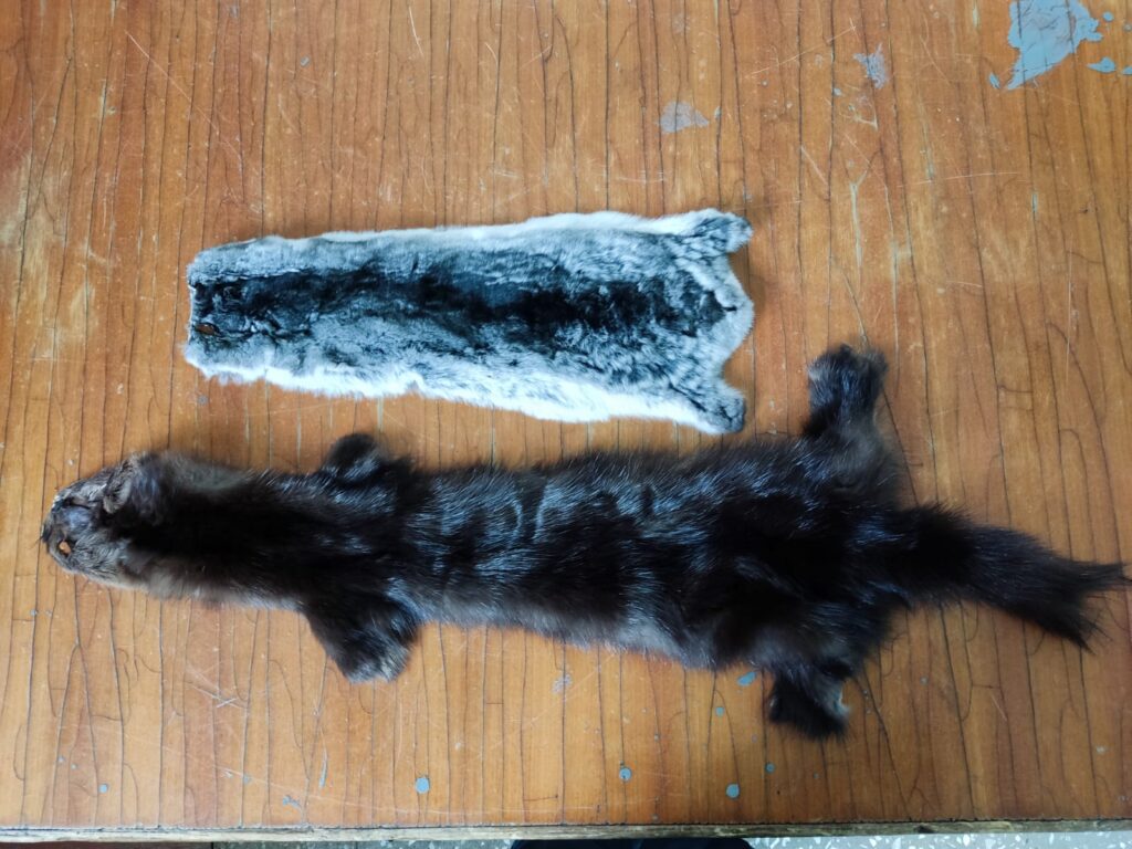 Иностранки пытались вывезти из Благовещенска шкурки соболя на 6 миллионов рублей