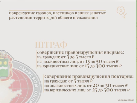 Фото: телеграм-канал Заксобрания Амурской области