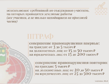 Фото: телеграм-канал Заксобрания Амурской области