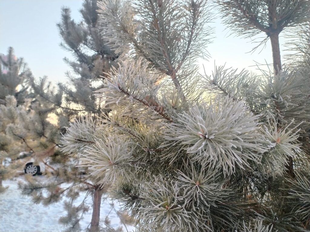 Фото: Амур.инфо