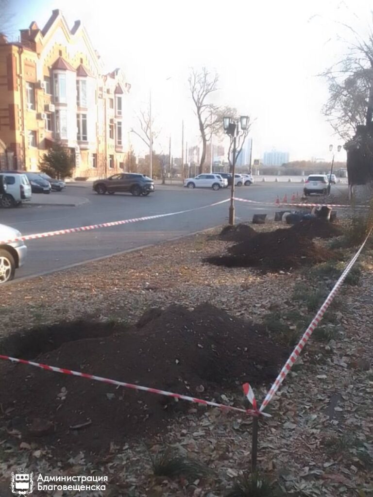 озеленение