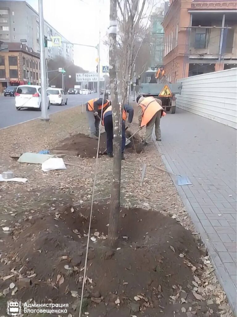 озеленение