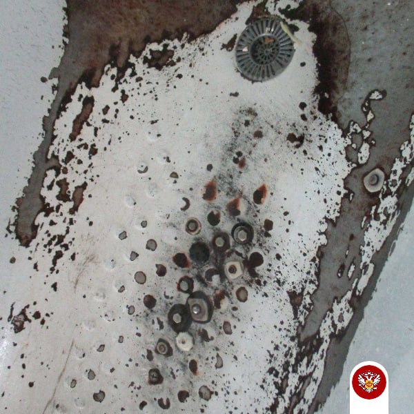 После массового отравления в центре Благовещенска закрыли кафе