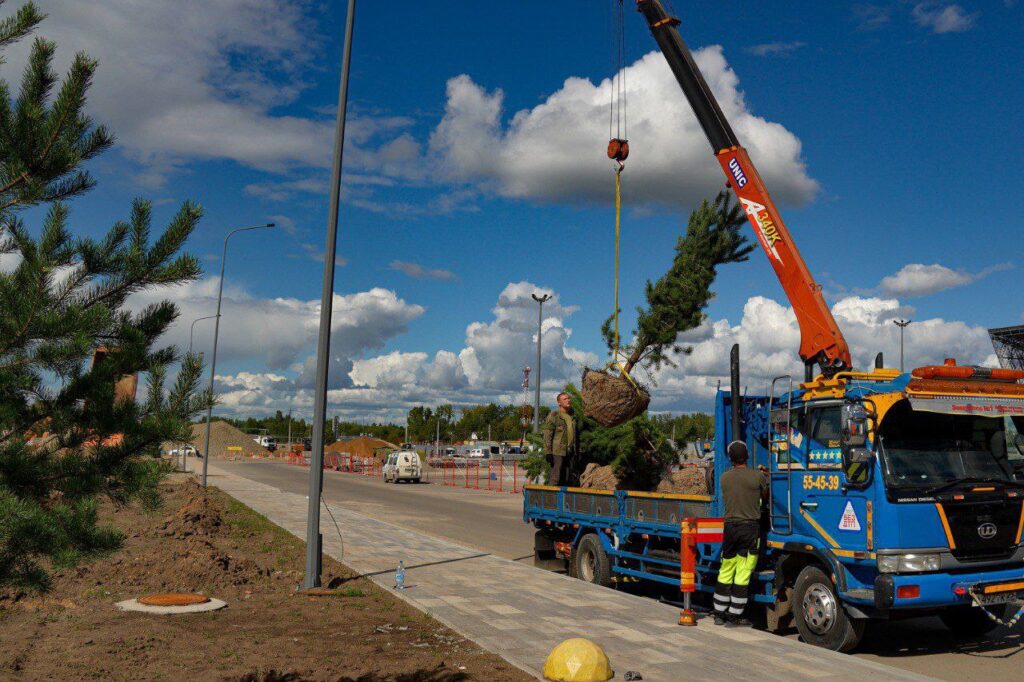 озеленение