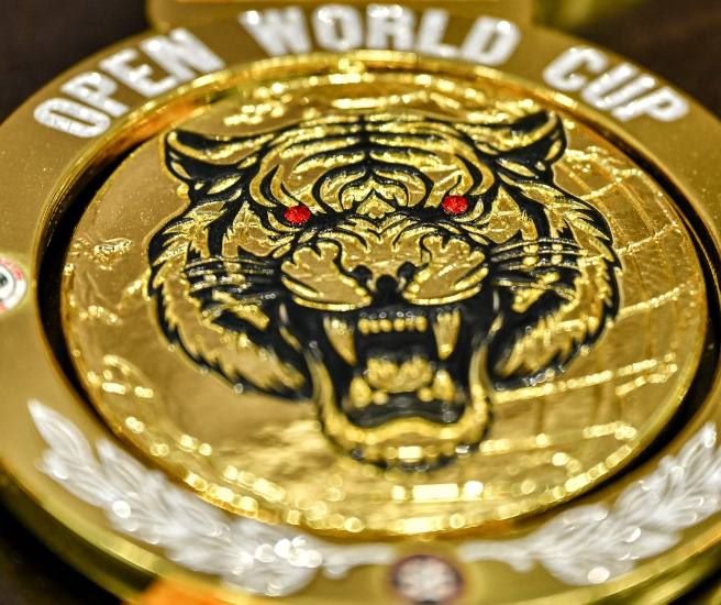 Судья из Приамурья поставил мировой рекорд